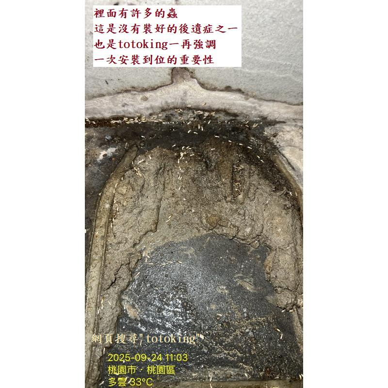 TOTO馬桶 TOTO CW887 CW887單體馬桶 TOTO單體CW887 裝馬桶 馬桶師傅 推薦裝TOTO師傅 馬桶長蟲 桃園郭小姐 totoking